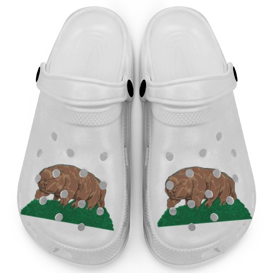 Touch As A Tardigrade Tardigrade Clogs