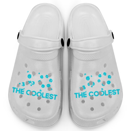 Chemistry Gift Scientists Chemist Clogs