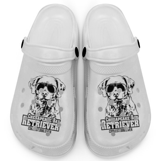 Chesapeake Bay Retriever coolest dog ever dog mom Clogs