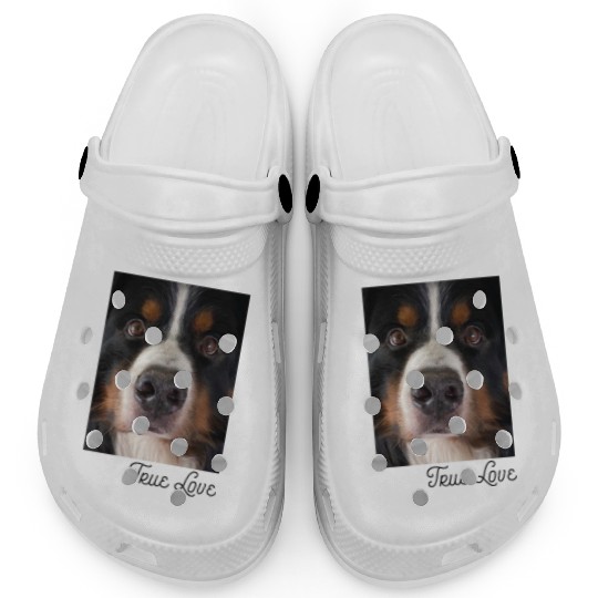 Bernese Mountain Dog Clogs