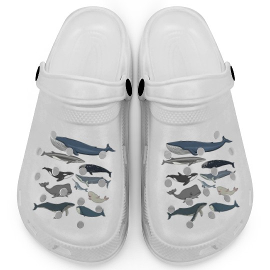 Whale Types Of Whales Whale Lover Clogs