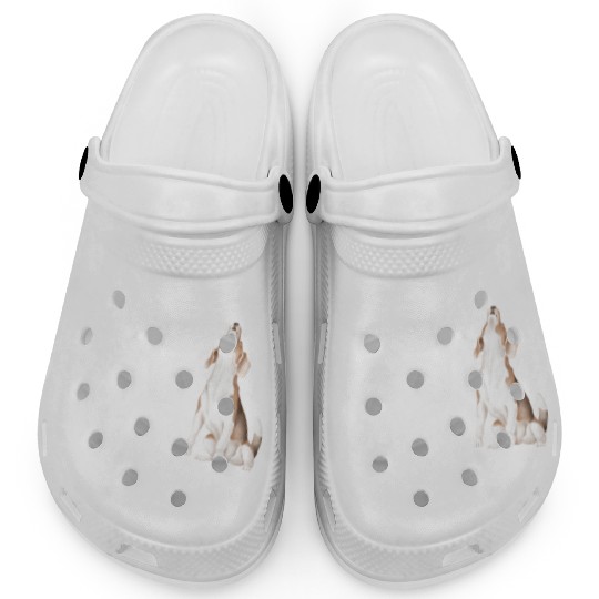 Beagle Definition PWBTS Clogs