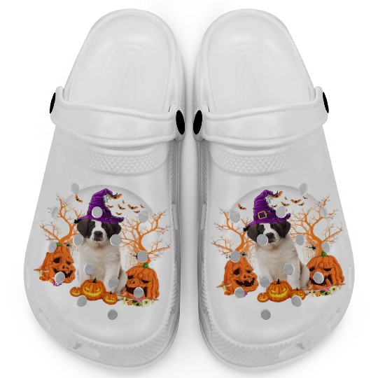 Dog Halloween Saint Bernard Dog Jack O Lantern Clogs