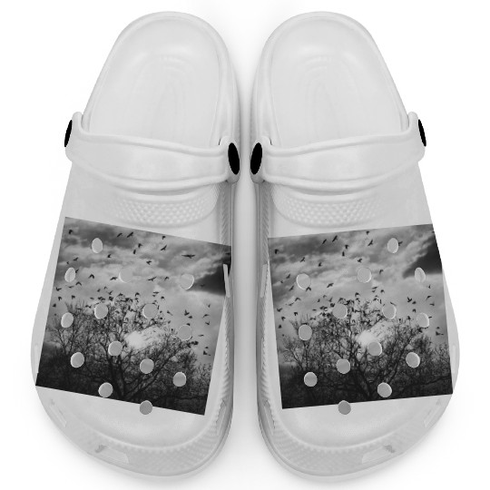 Bird's flight at sunset Clogs