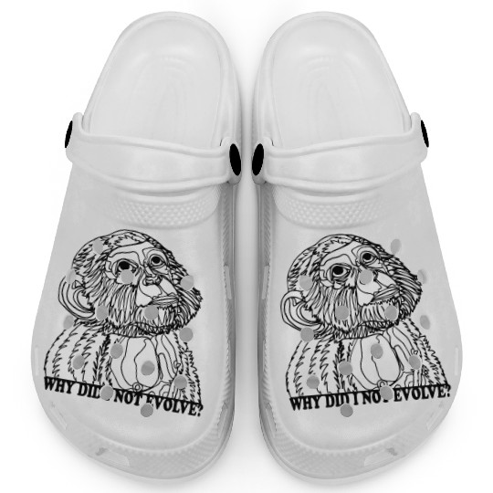Why did I not evolve | Monkey asks in surprise Clogs