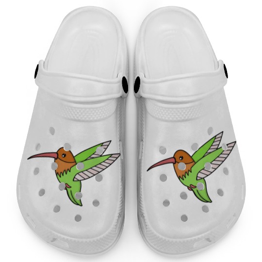 A Sweet Hummingbird Clogs