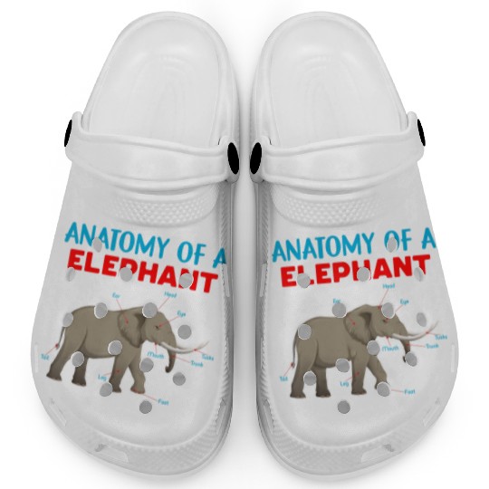 Anatomy Of A Elephant Educational Elephant Love Clogs