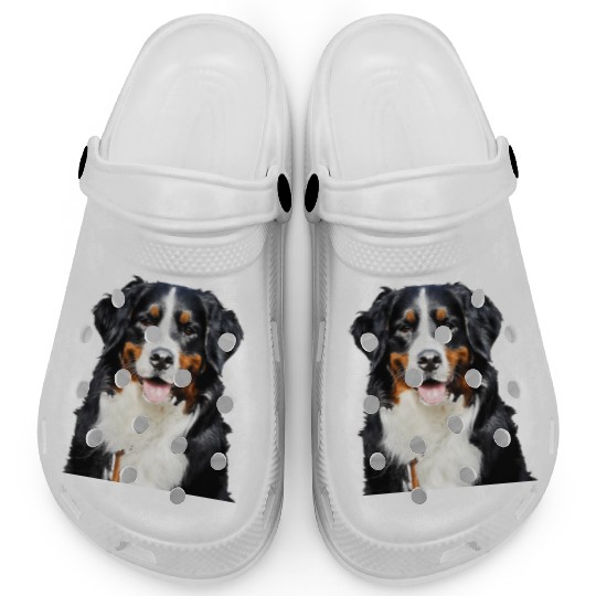 Portrait Of Bernese Mountain Dog Clogs