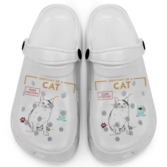 Funny Weird Cat Meme Smiling Anatomy of A Cat Clogs