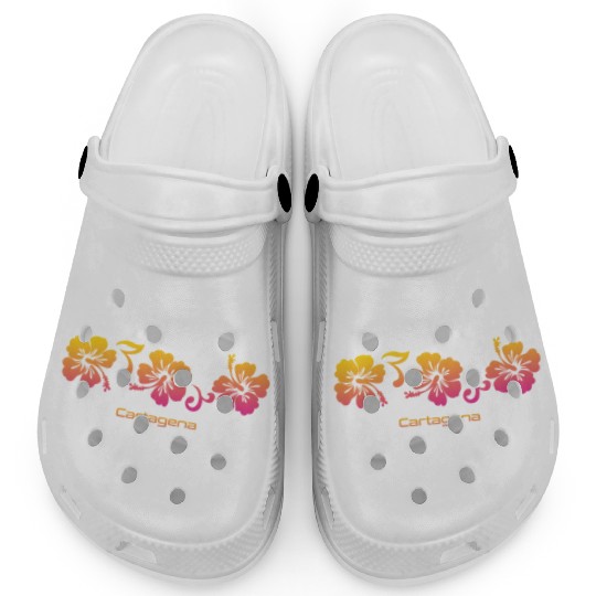 Cartagena Colombia Hibiscus Souvenir Vacation Clogs