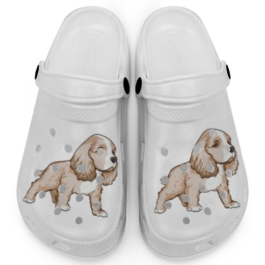 Cavalier King Charles Spaniel Clogs