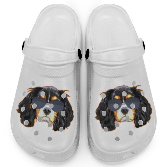 Cavalier King Charles Spaniel Wearing Sunglasses Clogs