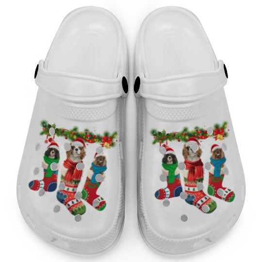 Three Cavalier King Charles Spaniel In Sock Clogs