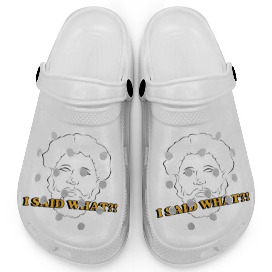 I Said What Philosophy Socrates Teacher Reading Clogs