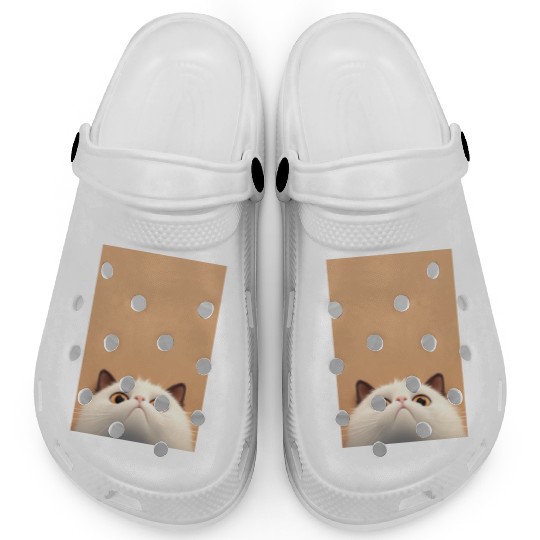 Cranky Whiskers - Adorable Grumpy Cat Clogs