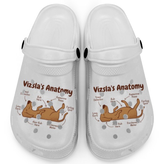 Vizsla dog animal funny anatomy Clogs