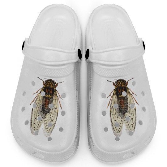 cicada Clogs