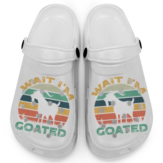 Oh wait i m goated vintage Clogs