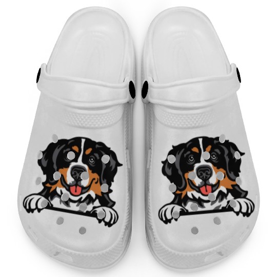 Bernese Mountain Dog Clogs