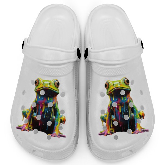 Rainbow Frog Clogs