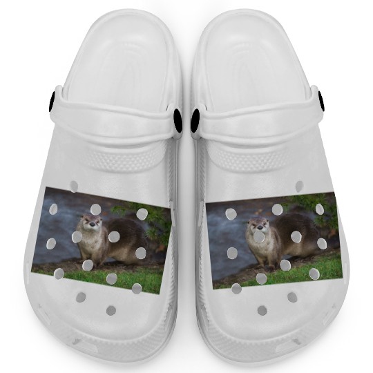 Adorable Otter on the Riverbank Clogs
