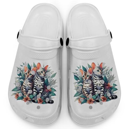 Bengal Kittens Snow Asian Cats Clogs