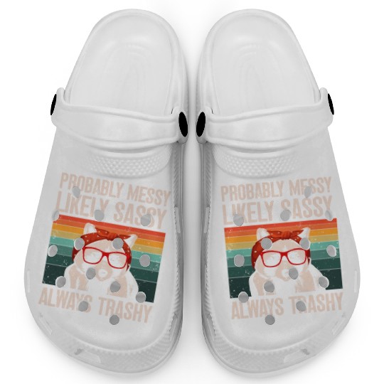 Funny Raccoons Trash Panda Racoon Lovers Clogs