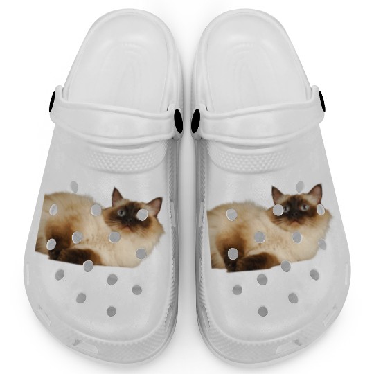 The Ragdoll Cat, Cat Mom, Cat Dad, Pet lover Clogs