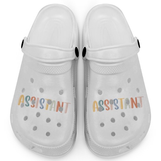 Assistant Principal Teacher Bright Assistant Teach Clogs