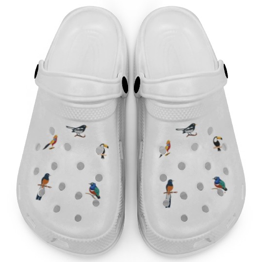 Sorry I'M Late I Saw A Bird Cute Bird Lover Clogs