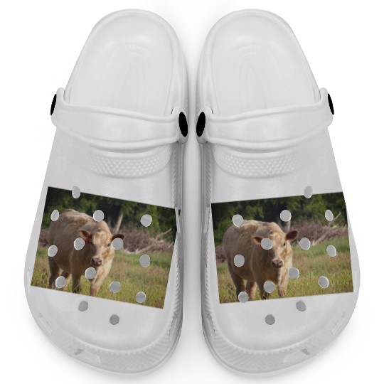 Cow Clogs