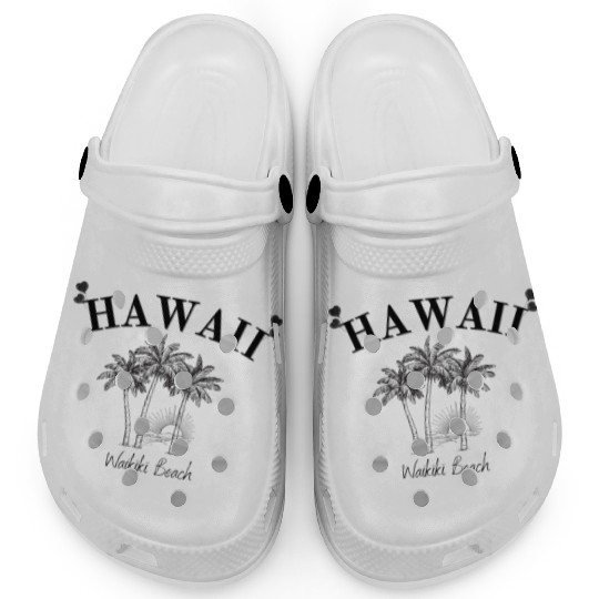 Hawaii - USA - Honolulu - Waikiki Beach - Souvenir Clogs