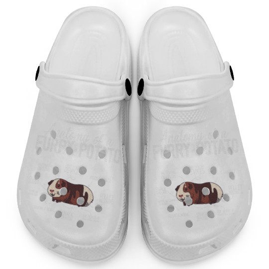 Guinea Pig Anatomy, Guinea Pig Lover, Guinea Pig Clogs