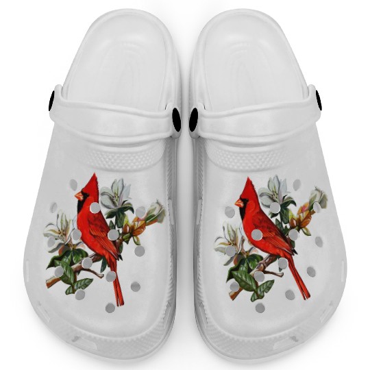 Northern Red Cardinal On A Branch Clogs