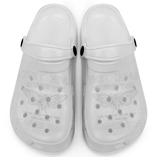 Reunion Tour 2024 Concert Clogs