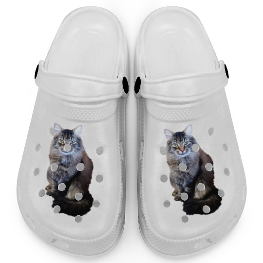 Indie the Cute Cat Clogs