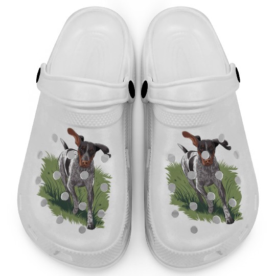 German Shorthaired Pointer Running In Field Clogs