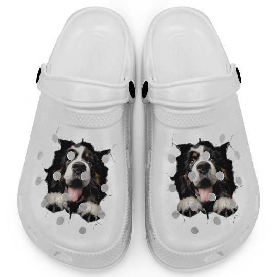Saint Bernard Clogs