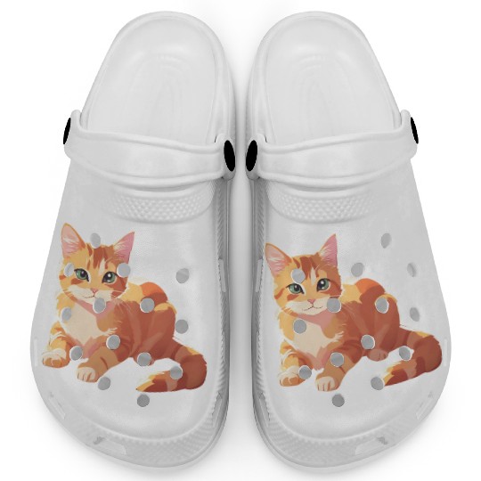 A Cute Orange Cat Clogs