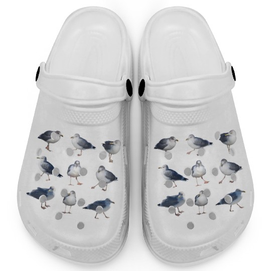 seagull sea ocean sailing coast Clogs