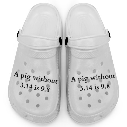 Pig Without Pi Funny Math & Physics Pun Clogs