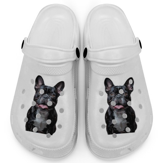 Charming French Bulldog Portrait Capturing Joyful Clogs