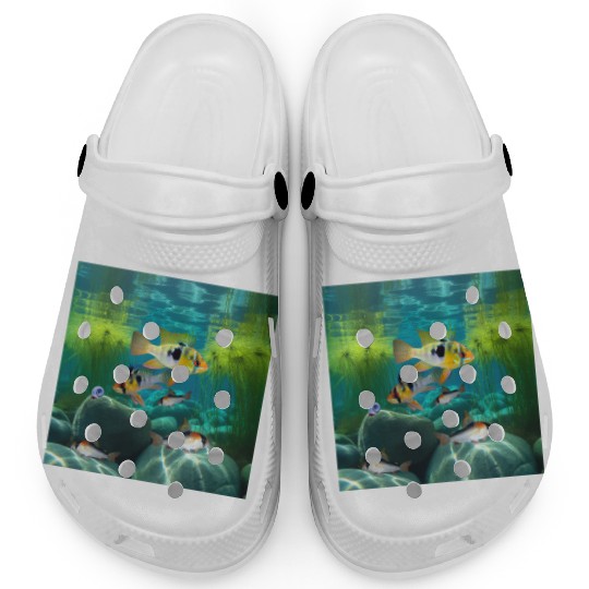 German Blue Rams Pair Dwarf Cichlid Corydoras Fish Clogs