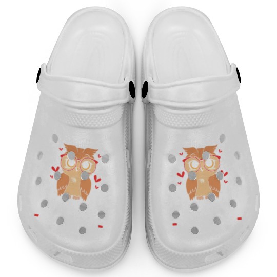 Substitute Teacher Owl School Teaching Clogs