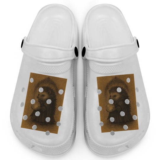 Hedgehog Wizard with Crystal Ball Clogs