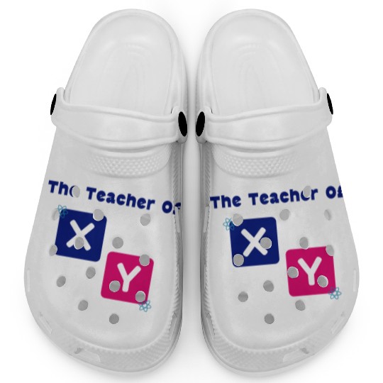 The Teacher Of X Y Algebra Math Teacher Clogs