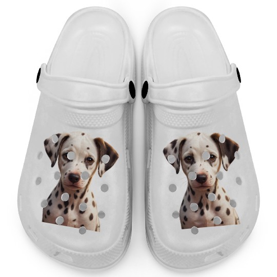 Dalmatian Puppy Portrait on Clogs