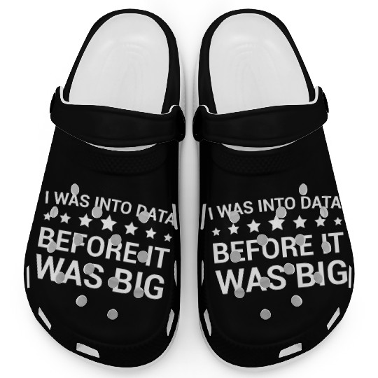I Was Into Data Before It Was Big - Data Nerd Clogs