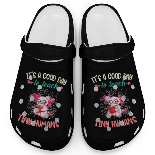 Good Day To Teach Tiny Humans Elementary Teacher Clogs