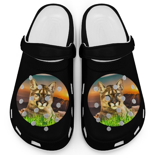 The Coguar wild cat in freedom Clogs